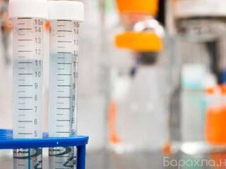 centr-professionalnogo-obuceniia-gorodmasterov-nn-v-niznem-novgorode-predlozenie-uslugi-v-obieiavlenii-u-na-baraxlanet