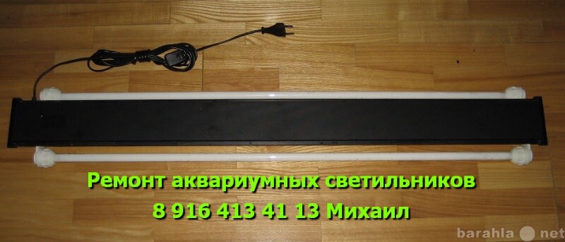 gostinica-dlia-zivotnyx-za-1rub-v-sutki-v-ekaterinburge-predlozenie-uslugi-v-obieiavlenii-u27033780-na-baraxlanet-big-4