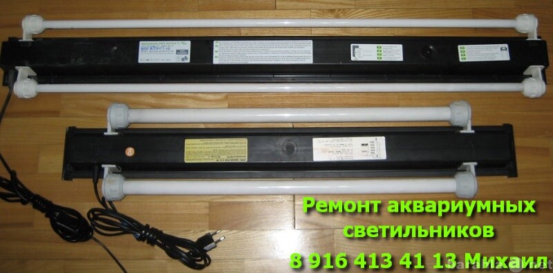 gostinica-dlia-zivotnyx-za-1rub-v-sutki-v-ekaterinburge-predlozenie-uslugi-v-obieiavlenii-u27033780-na-baraxlanet-big-3