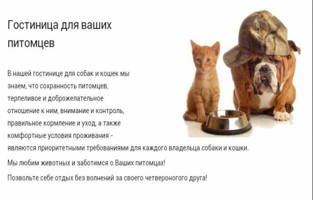 domasniaia-perederzka-sobak-v-zelenograde-predlozenie-uslugi-v-obieiavlenii-u4855246-2374829-na-baraxlanet-big-0