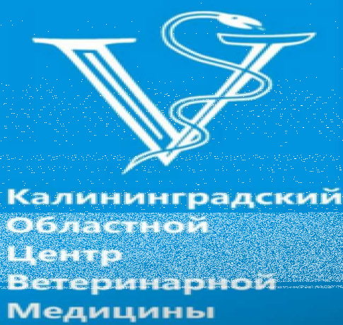 veterinarnyi-centr-dlia-zivotnyx-v-kaliningrade-predlozenie-uslugi-v-obieiavlenii-u25281793-na-baraxlanet-big-2