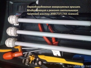 dressirovka-sobak-v-astraxani-predlozenie-uslugi-v-obieiavlenii-u25367823-na-baraxlanet