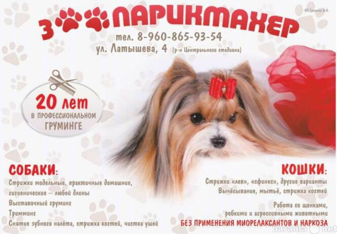 domasnii-zoosalon-strizka-sobak-i-kosek-v-astraxani-predlozenie-uslugi-v-obieiavlenii-u8819234-4110483-na-baraxlanet-big-2