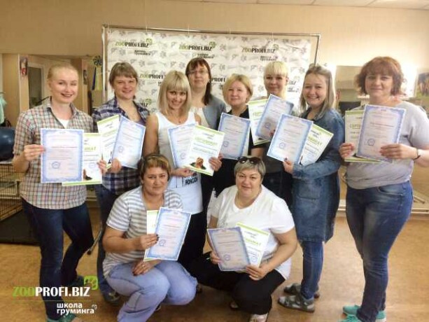 viazka-labrodorov-v-volgograde-predlozenie-uslugi-v-obieiavlenii-u23897520-na-baraxlanet-big-0