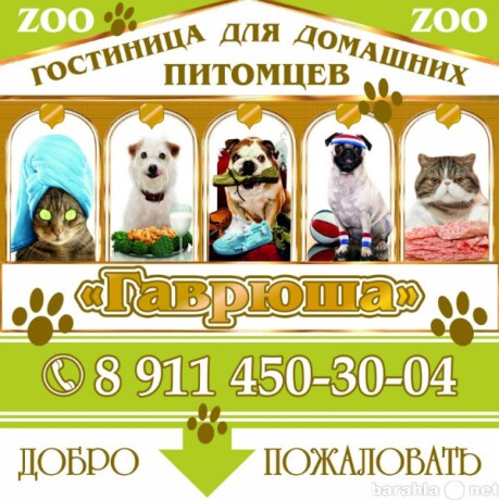gostinica-dlia-zivotnyx-v-kaliningrade-predlozenie-uslugi-v-obieiavlenii-u10176283-4523740-na-baraxlanet-big-2