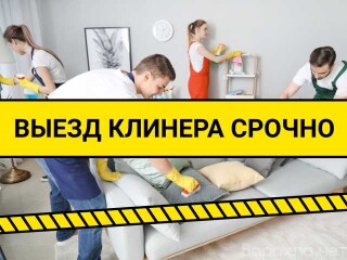 vynosvyvoz-i-uborka-musora-i-snega-v-kaliningrade-predlozenie-uslugi-v-obieiavlenii-u7717189-3713331-na-baraxlanet