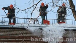 vyvozim-musoragruzciki-v-astraxani-predlozenie-uslugi-v-obieiavlenii-u4989723-2528475-na-baraxlanet-big-3