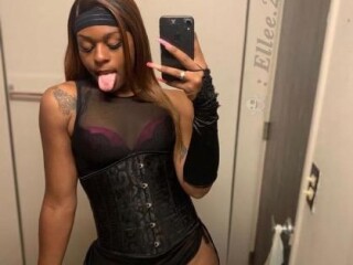 shemale-escort-in-allentown-pa