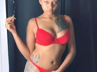 female-escorts-in-las-cruces-nm