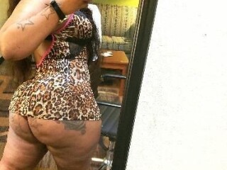 female-escorts-in-west-palm-beach-fl