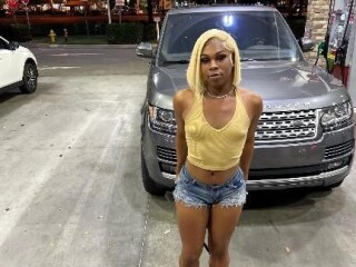 shemale-escort-in-biloxi-ms-228-800-7744