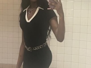 shemale-escort-in-the-bronx-ny-832-231-7130
