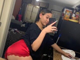 female-escorts-in-amarillo-tx-806-491-7337