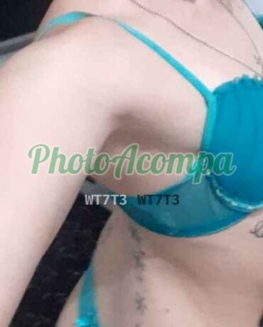 lina-sou-a-acompanhante-que-vocaa-procura-safadinha-namoradinha-e-muitos-mais-photoacompanhantes-big-1