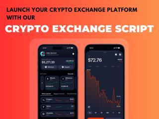 get-elite-cryptocurrency-exchange-script-with-hivelance