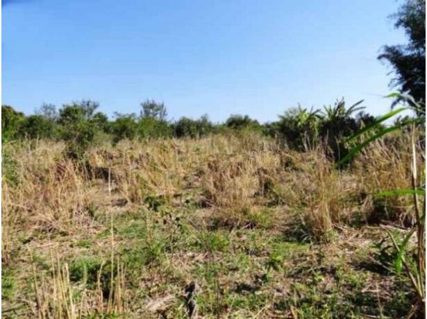 investidor-area-de-14-mil-m2plana-em-ponta-negra-marica-marica-rj-encontre-terrenos-a-venda-marica-rj-big-1